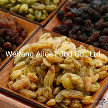 Chinese Wholesale Bulk Price Yellow Raisins Golden Raisins